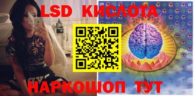дмт Донской